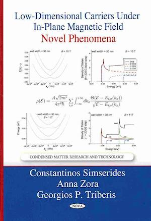 Low-Dimensional Carriers Under In-Plane Magnetic Field