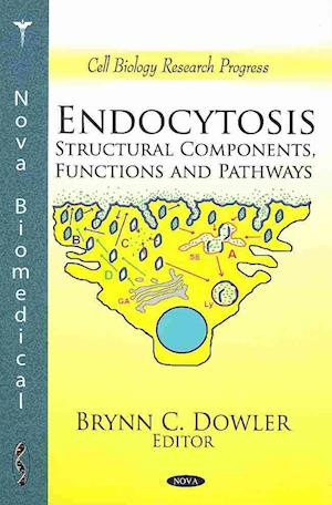 Endocytosis