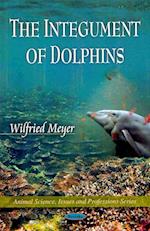 Integument of Dolphins