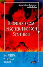 Biofuels from Fischer-Tropsch Synthesis
