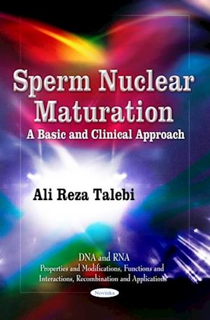 Sperm Nuclear Maturation