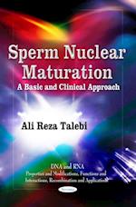 Sperm Nuclear Maturation