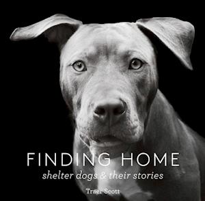 Finding Home