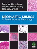 Neoplastic Mimics in Genitourinary Pathology