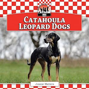 Catahoula Leopard Dogs