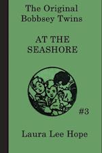 The Bobbsey Twins  at the Seashore