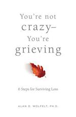 You're Not Crazy--You're Grieving