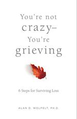 You're Not Crazy-You're Grieving: