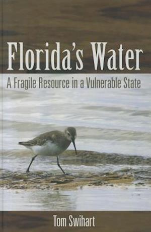 Florida's Water