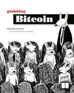 Grokking Bitcoin