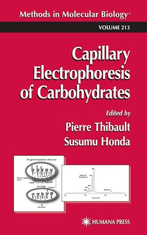 Capillary Electrophoresis of Carbohydrates