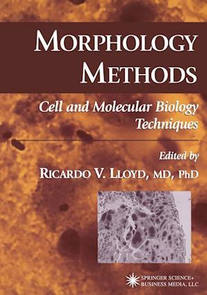 Morphology Methods