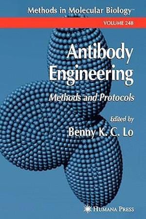 Antibody Engineering