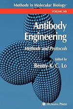 Antibody Engineering