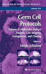 Germ Cell Protocols