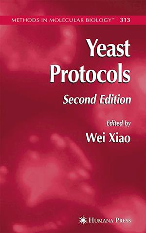 Yeast Protocols