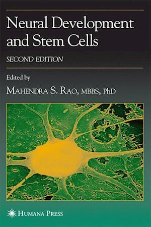 Neural Development and Stem Cells