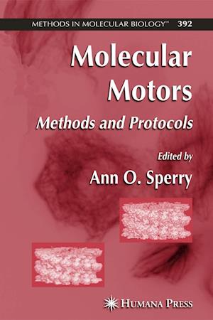 Molecular Motors