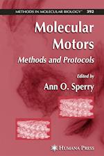 Molecular Motors