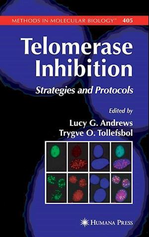 Telomerase Inhibition