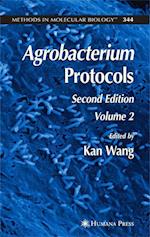 Agrobacterium Protocols