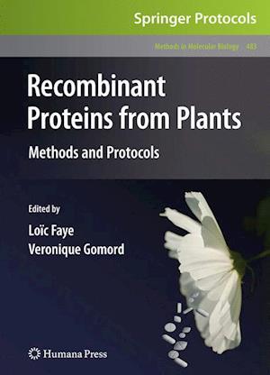 Recombinant Proteins From Plants