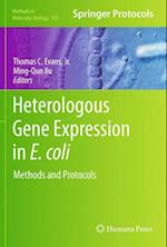 Heterologous Gene Expression in E.coli