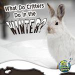 What Do Critters Do in the Winter?