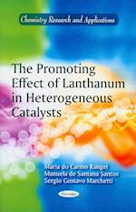 Promoting Effect of Lanthanum in Heterogeneous Catalysts