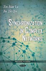 Synchronization in Complex Networks