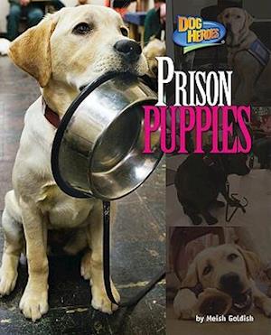 Prison Puppies