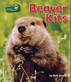 Beaver Kits