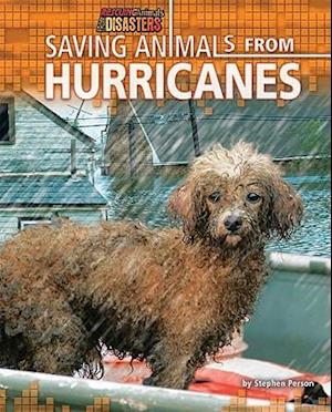 Saving Animals from Hurricanes