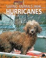Saving Animals from Hurricanes