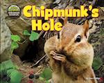 Chipmunk's Hole