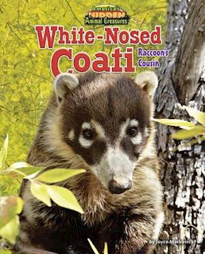 White-Nosed Coati