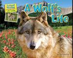 A Wolf's Life