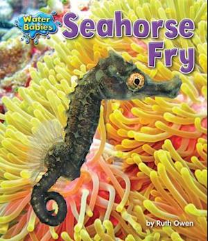Seahorse Fry