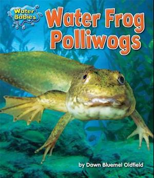 Water Frog Polliwogs