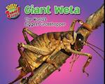 Giant Weta