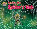 Inside the Spider's Web