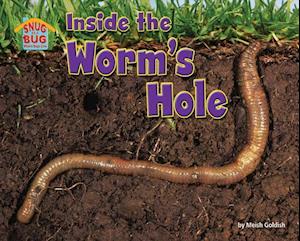 Inside the Worm's Hole