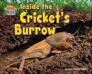 Inside the Cricket's Burrow