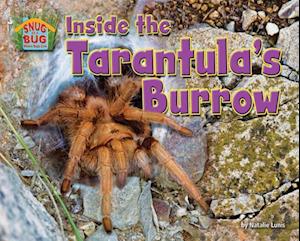 Inside the Tarantula's Burrow