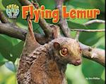 Flying Lemur