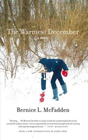 The Warmest December