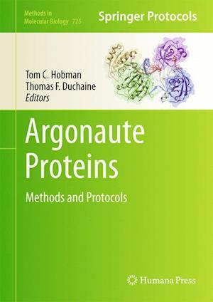 Argonaute Proteins