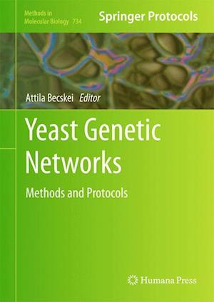 Yeast Genetic Networks