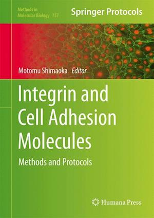 Integrin and Cell Adhesion Molecules