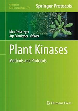 Plant Kinases